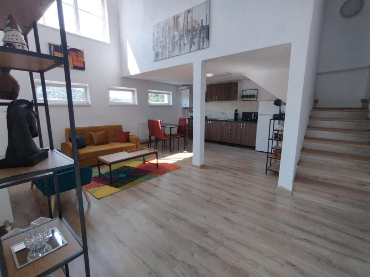 Apartament Alyosha Сигишоара Экстерьер фото