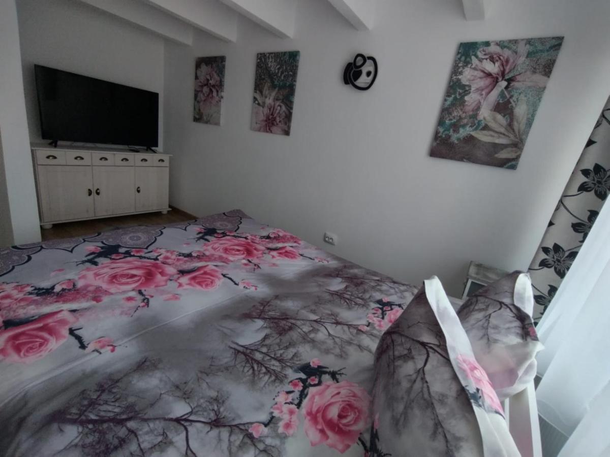 Apartament Alyosha Сигишоара Экстерьер фото